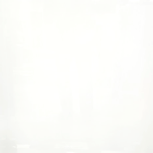 Wg001G 24x24 Polished